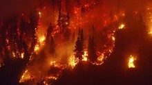 Aerial, Tilt Down, Drone Shot, Overlooking Trees In Flames, Alaskan Forest Fires Destroying And Causing Air Pollution, On A Dark, Summer Night, In Alaska, USA