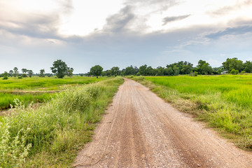 road in the field