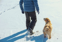 Man With Dog Walking On A Snowy Winter Field