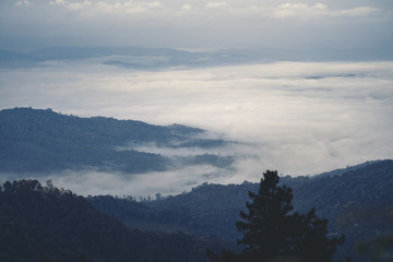 Wall Mural - Mountains and fog in the early morning hours