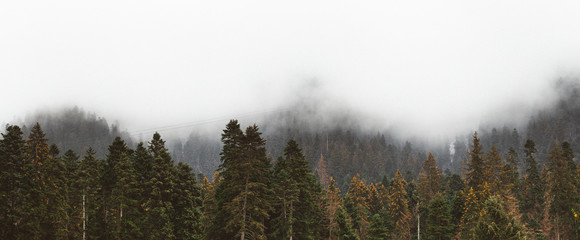 Fotoroleta natura wiejski widok alpy