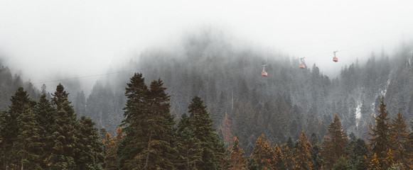  Panorama Forested mountain slope in low lying cloud with the evergreen conifers with telecabin passing shrouded in mist in a scenic landscape view