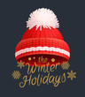 Winter holidays knitted red hat with white pom-pom vector. Warm headwear item, wintertime cloth thick woolen chunky yarn, hand knitting crochet headdress