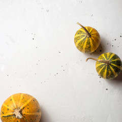 Thanksgiving autumn background with pumpkins on gray. Copy space