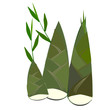 Bamboo shoots (Bambusa vulgaris), young shoots eaten as vegetables, a popular food in Asia, Thai menu