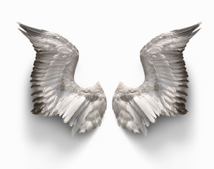 pairs of angle wings isolate with clipping path on white background