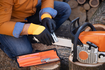 Wall Mural - Sharpening a chainsaw Close up on a man sharpening a chainsaw chain with file.