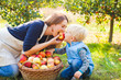 © oksix - Cute child and mother eating apple in garden. Happy family picking apples on a farm