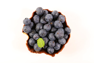 Wall Mural - blueberry isolated on white background