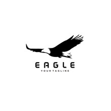 Eagle Bird Negative Space. Vector Logo Icon Template