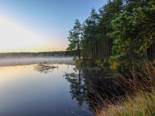 Wall Mural - beautiful mist on the lake, dark tree silhouettes, sunset on the forest lake