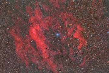 Wall Mural - sh2-119 llarge complex of emission nebulosity in cygnus constellation
