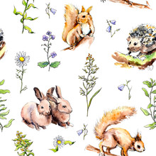 Forest Animals - Rabbits, Fox, Squirrel, Hedgehog In Grass And Flowers. Seamless Pattern. Watercolor