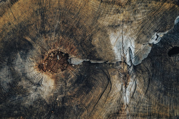 Poster - Beautiful old wooden background texture.