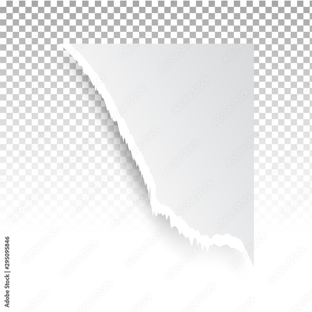 Torn paper holes. Hole in the sheet of paper on a transparent background for web and print.