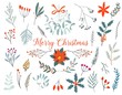 Hand drawn decorative christmas holly, misletoes, plant branches, twigs design element set. Winter Bouquets.