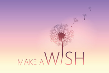 make a wish typography with dandelion vector illustration EPS10