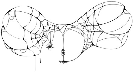 Wall Mural - spider fly on torn web. spiderweb symbol of halloween