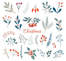 Christmas Floral Collection With Winter Decorative Plants And Flowers. Cute Hand Drawn In Scandinavian Style. Illustration Of Winter Berries And Christmas Branches.