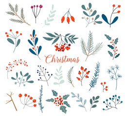 Christmas floral collection with winter decorative plants and flowers. Cute hand drawn in scandinavian style. Illustration of winter berries and Christmas branches.