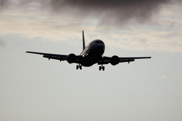 Wall Mural - plane in the sky background