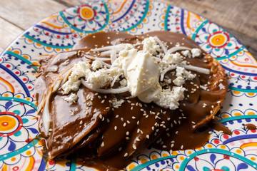 Mexican mole sauce enchiladas with cheese and sesame seeds