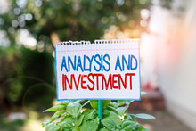 Word Writing Text Analysis And Investment. Business Photo Showcasing Studying Market Then Do Business In Large Scale Plain Empty Paper Attached To A Stick And Placed In The Green Leafy Plants