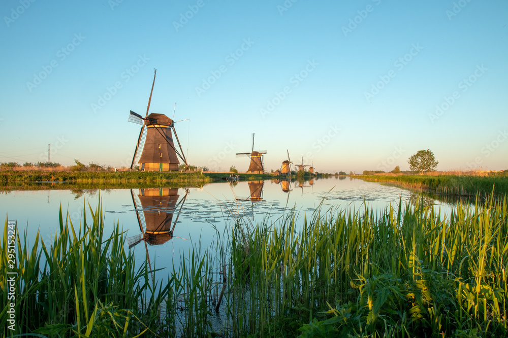 dutch windmill in kinderdijk, holland - obrazy, fototapety, plakaty 