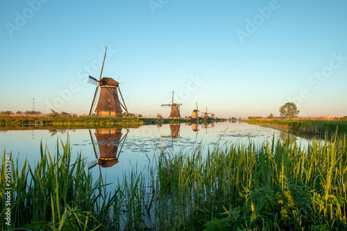 Fotomural dutch windmill in kinderdijk, holland