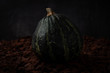 Dark artistic photo of beautiful decorative green pumpkin on wooden ground with black background. Autumn harvest, Thanksgiving or Halloween concept. Low Key food photography. Copy space
