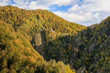 Canvas Print - Poenari fortress, Romania