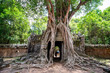 Siem Reap / Cambodia - May 27 / 2019 : huge tree with roots covering the door at ta som temple at angkor wat temple complex