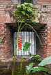 Old brick window with plants
