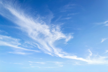 Wall Mural - translucent airy cirrus clouds high in a blue sky. cloud species and varieties. atmospheric phenomen