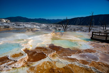 Sticker - Mineral pools generated by a hot spring by Cleopatra terrace