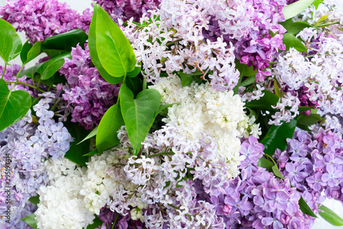 Fresh lilac flowers