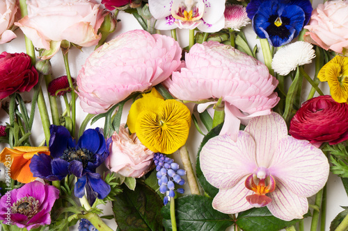 Ranunculus flat lay composition