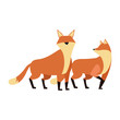 © Jemastock - cartoon foxes icon, flat design