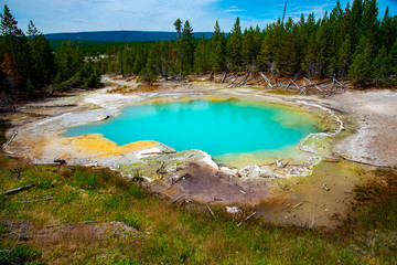 Sticker - Geothermal feature at Norris geyser basin at Yellowstone National Park (USA)