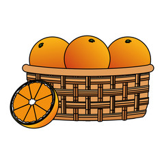 Poster - oranges basket icon image design