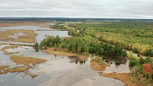 Aerial View Of Freshwater Marsh, Forest, Highway. Autumn Fall Season,  Nature, Rural Landscape From Above