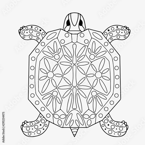 turtle with patterns coloring page hand drawing coloring