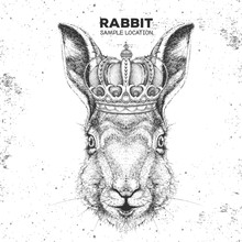 Hipster Animal Rabbit In Crown. Hand Drawing Muzzle Of Bunny