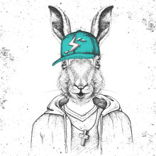 Hipster Animal Rabbit Dressed In Cap Like Rapper. Hand Drawing Muzzle Of Bunny