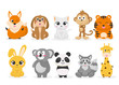 cute animal character vector illustration collection