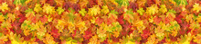 Maple Leaves Autumn Red Yellow Green Floral Background Banner