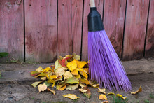 A Round Broom With A Wooden Handle A Purple Long Brush With A Black Plastic Holder Stands Next To The Autumn Yellow And Red Dead Leaves Of Fruit Trees Swept Into A Pile Against A Wall Of Brown Boards