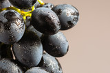 Fototapeta Storczyk - close up blurred grapes on bright background