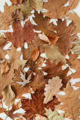 Wall Mural - Autumn, fall composition. Beautiful background of brown, orange, beige dried leaves. Creative autumn pattern. Flat lay, top view.