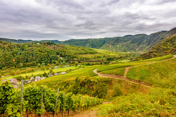 Canvas Print - Moseltal bei Ediger-Eller